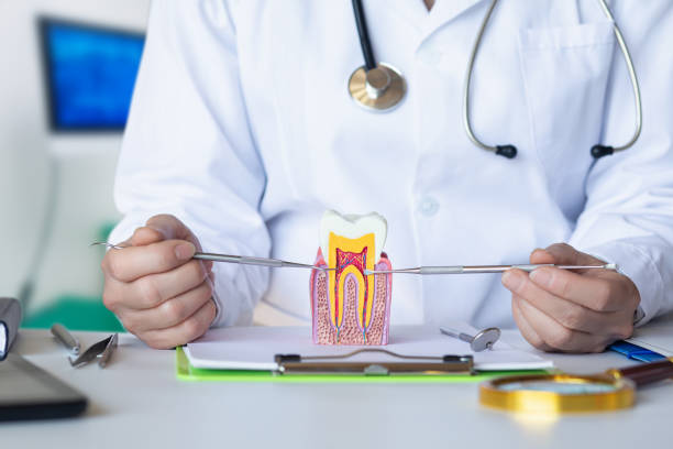 Tooth Infection Emergency Dentist in WA